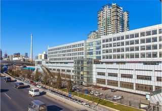 有什么代餐粉包括什么