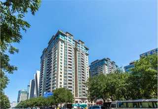 河南户外草坪多少钱一平方